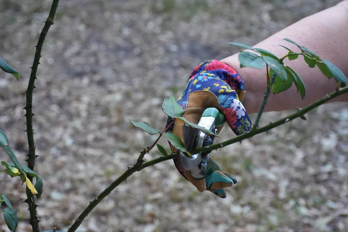 Seasonal Home Maintenance Calendar for Somerset: Spring to Winter